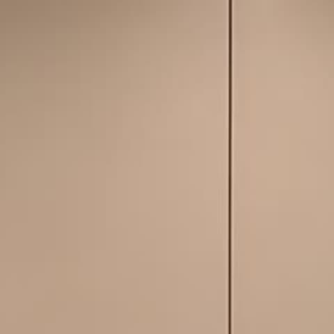 Bone lacquered door