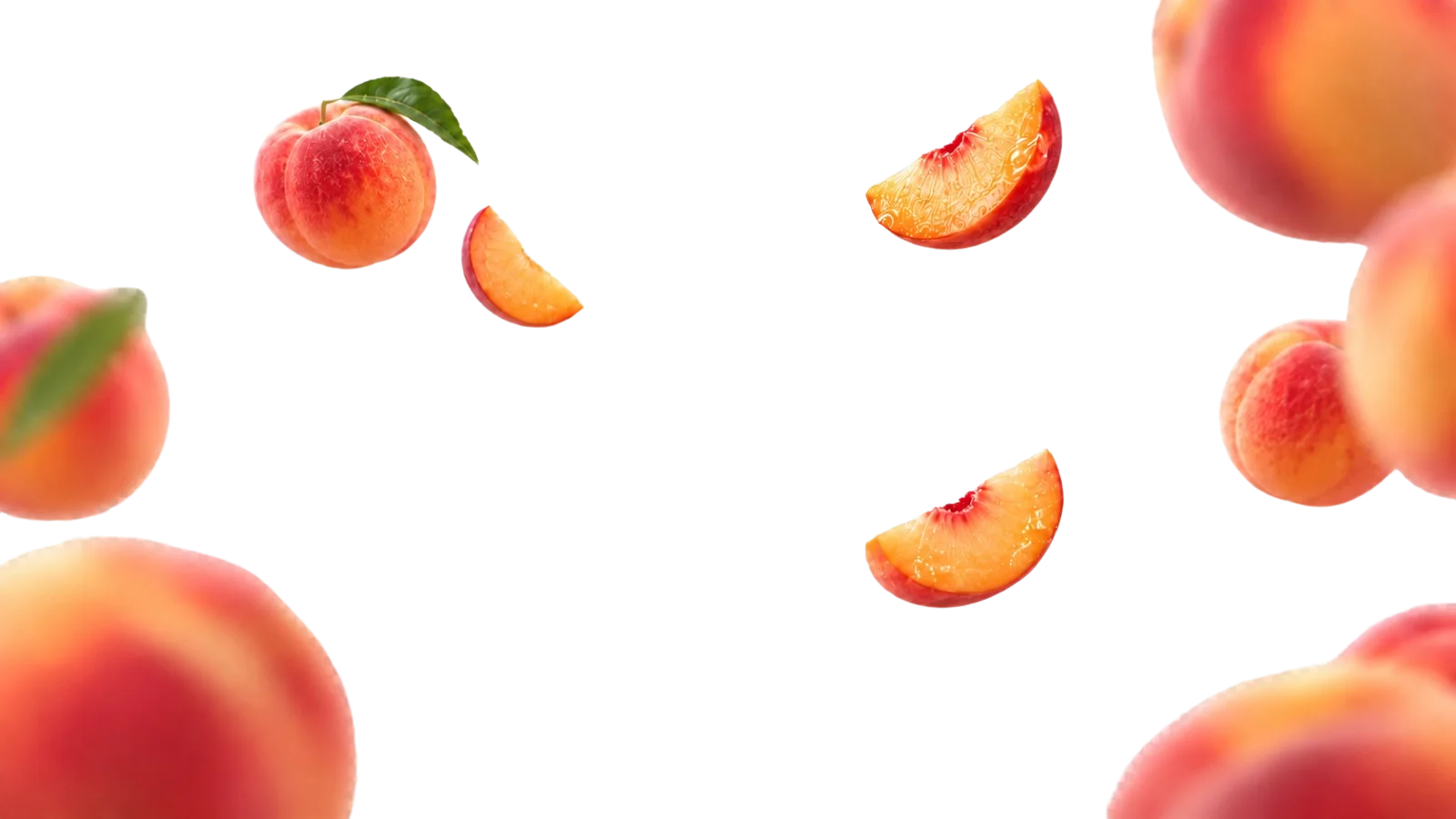 Fresh peaches and slices floating around the can